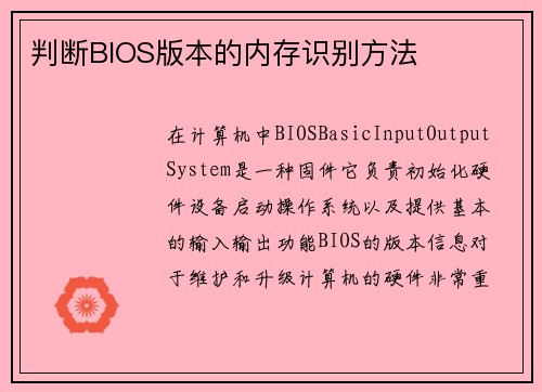 判断BIOS版本的内存识别方法