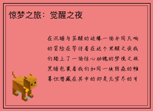 惊梦之旅：觉醒之夜